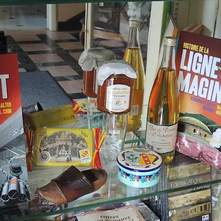 Hotel L'horizon Thionville